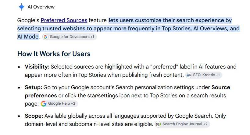 Google’s preferred sources button: what small publishers should do this week